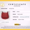 Picture of Hermes Evelyne PM Red