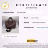 Picture of Louis Vuitton Bandouliere 30 Ebene Microchip