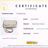 Picture of Louis Vuitton Favorite Azur PM