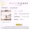 Picture of Louis Vuitton Pochette Metis Dove White