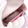 Picture of Dior Lady Mini TriColor