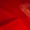 Picture of Chanel Large Camera Red Caviar